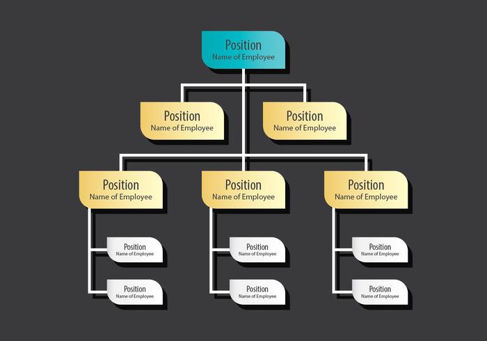 Organization Chart vector