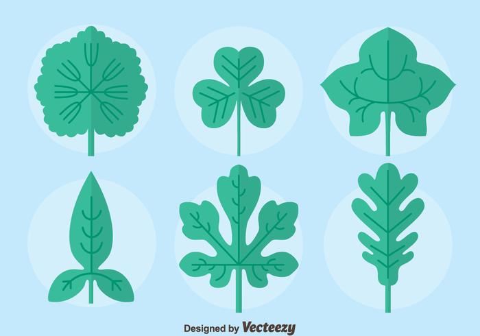 Flat Ivy Leaf Collection Vector