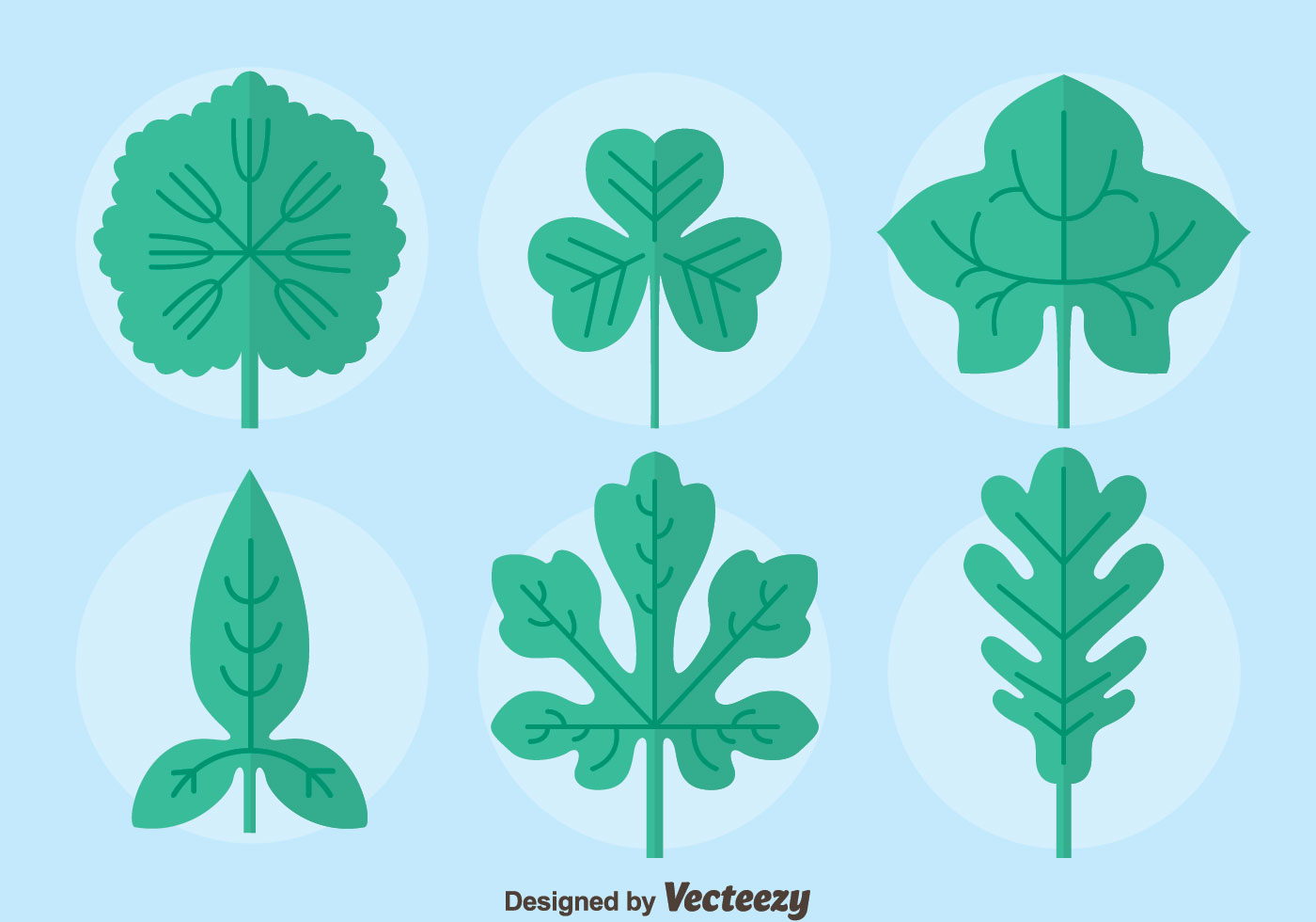 Flat Ivy Leaf Collection Vector 156139 Vector Art at Vecteezy