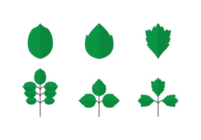 Poison Ivy Icons Poison Ivy Icons