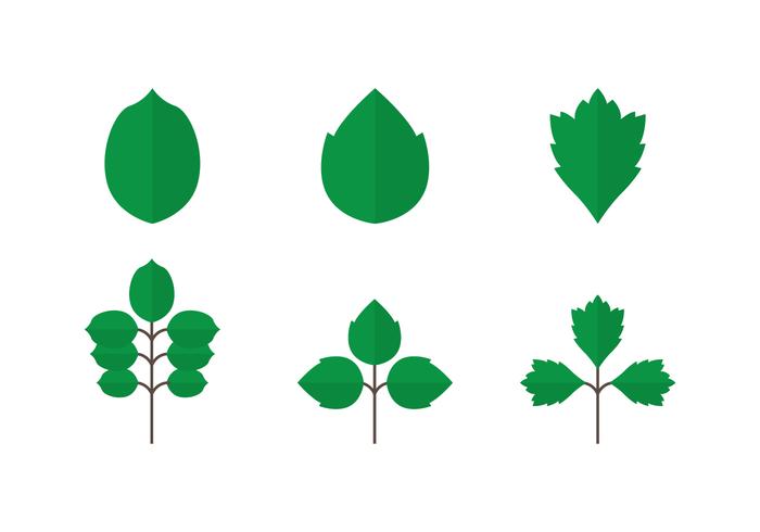 Poison Ivy Icons vector