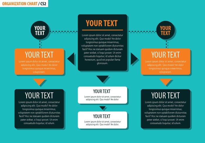 Organization Chart vector