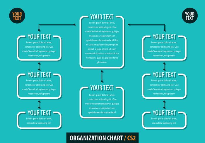 Organigrama vector