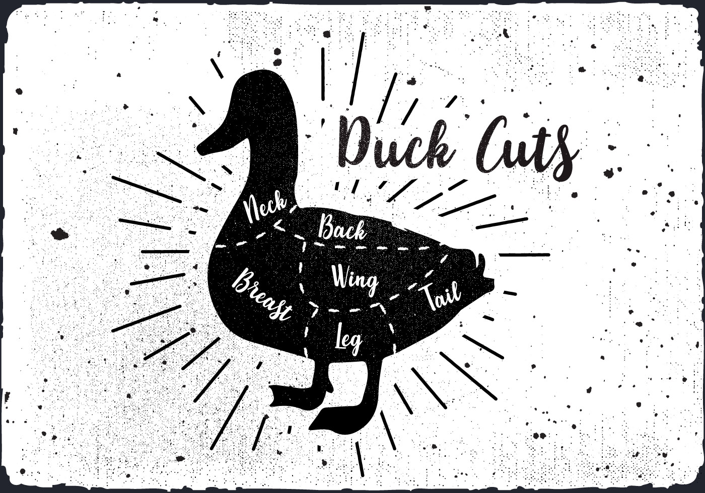 Слово duck. Utka вектор. Утка вектор лого. Duck слово. Плакат мясо и птица.
