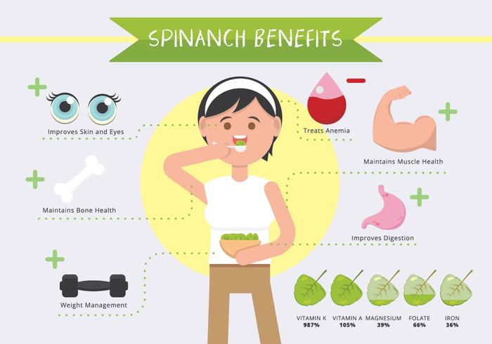 Beneficios de la espinaca Infographic Vector