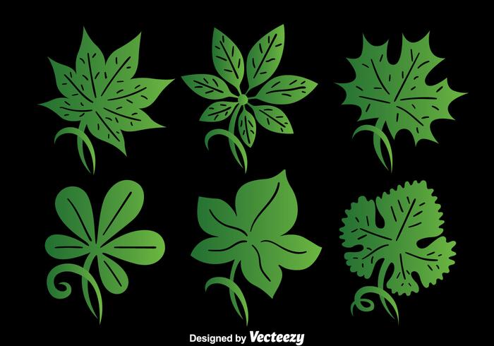 Green Ivy Leaf Collection Vector