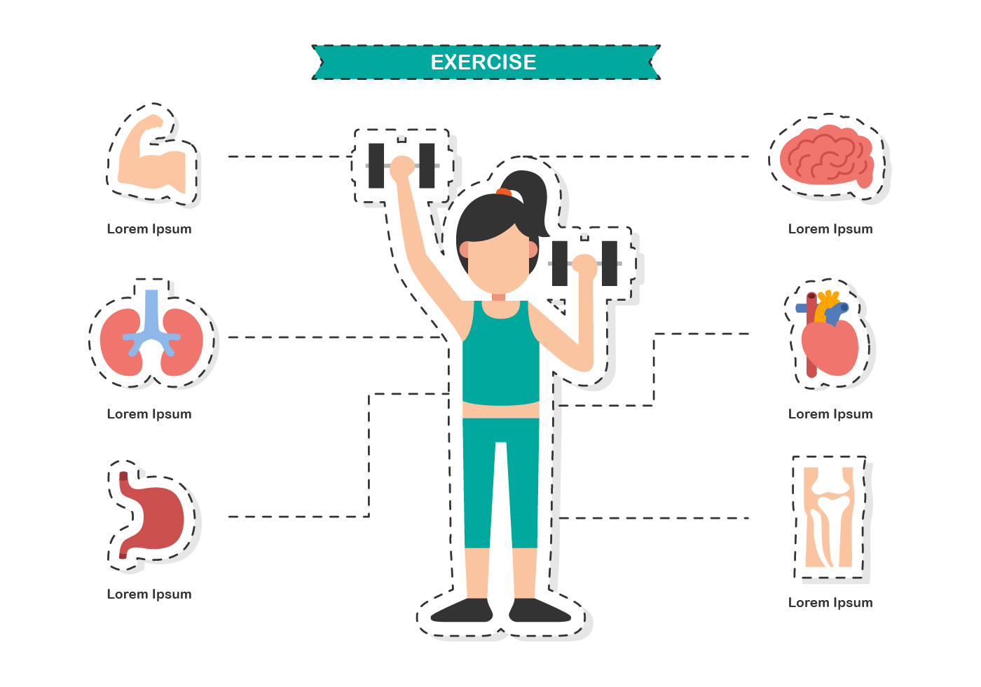 Healthy Body Vector Art, Icons, and Graphics for Free Download