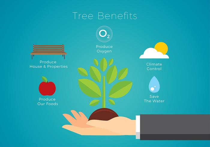 Tree Benefits Free Vector