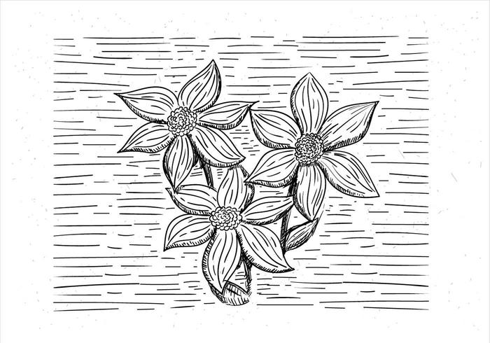 Free Hand Drawn Vector Flower