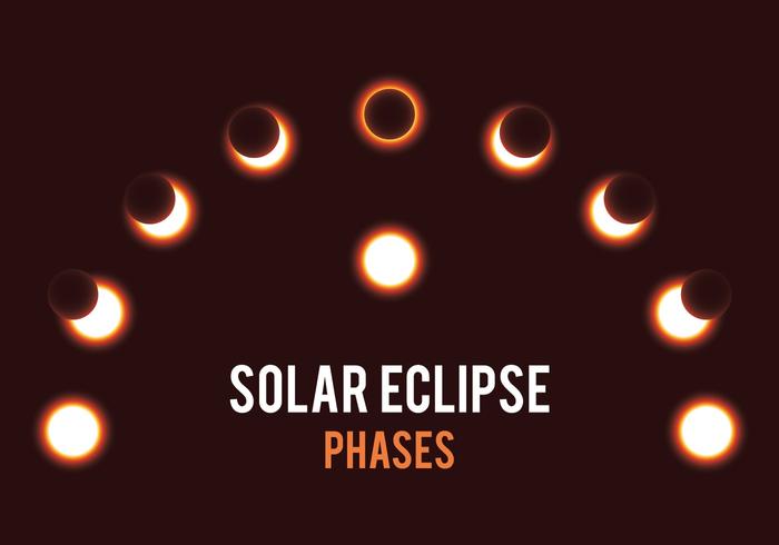 Solar Eclipse Phases vector