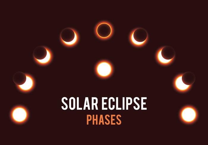 Fases del eclipse solar vector