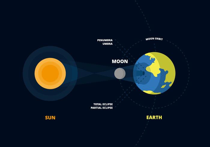 Solar Eclipse Vector 