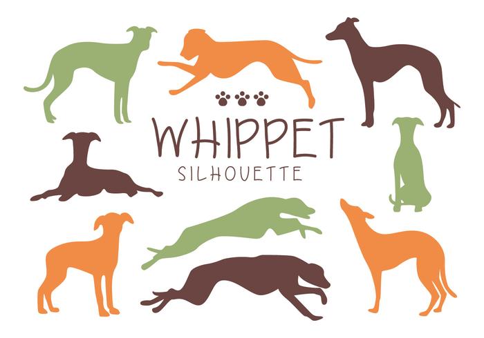 Whippet Dog Silhouette Vectors 