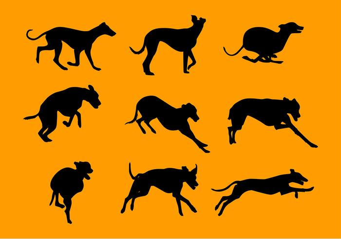 Whippet Silhouette Set Free Vector