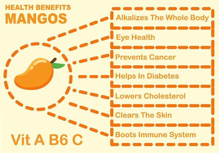 Beneficios de Frutas de Mango Infográfico vector