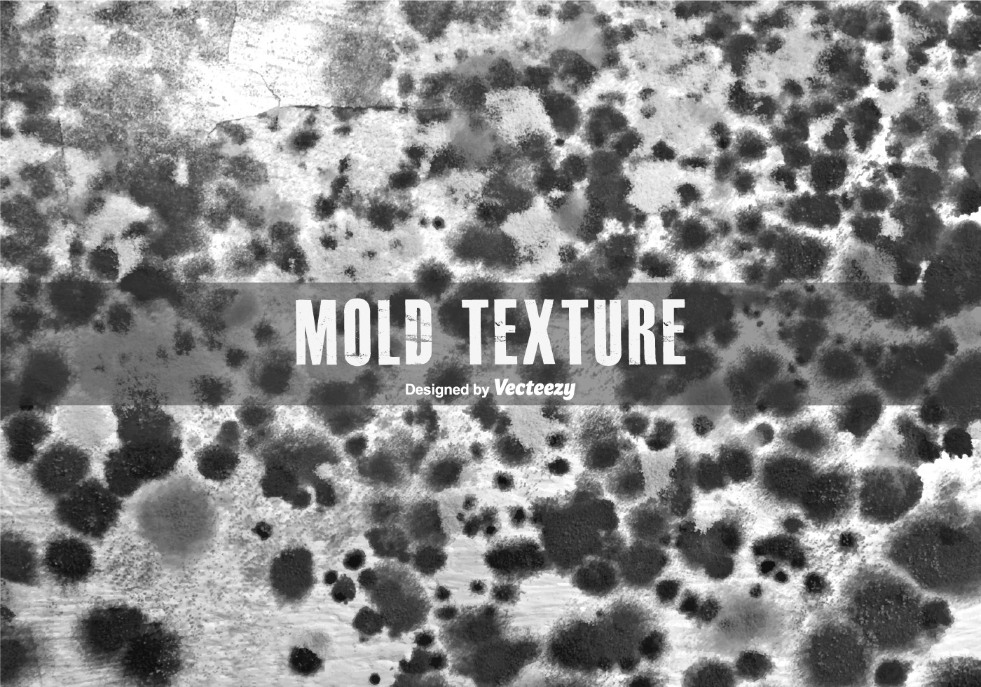 1,919 Anti Mold Images, Stock Photos, 3D objects, & Vectors