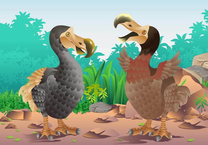 Male And Female Dodo Birds vector