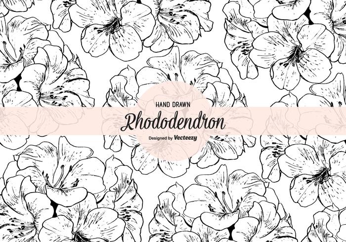 Hand Drawn Rhododendron Vector Seamless Pattern