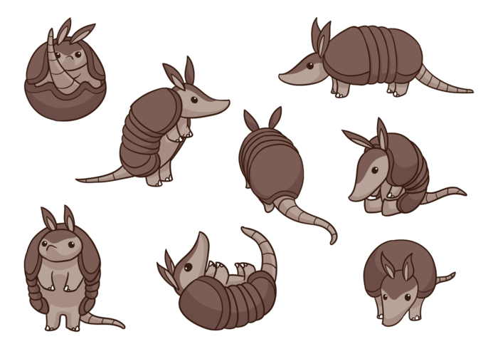 Armadillo Cartoon Vectors