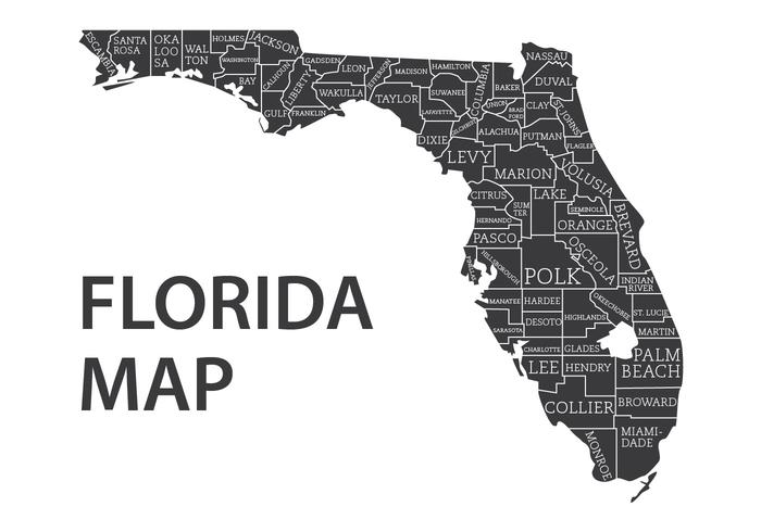 Florida Map with Counties Vector 