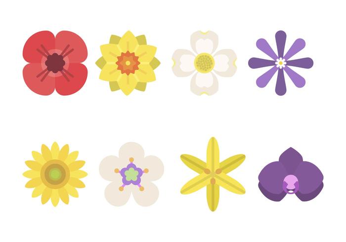 Flat Flower Vectors