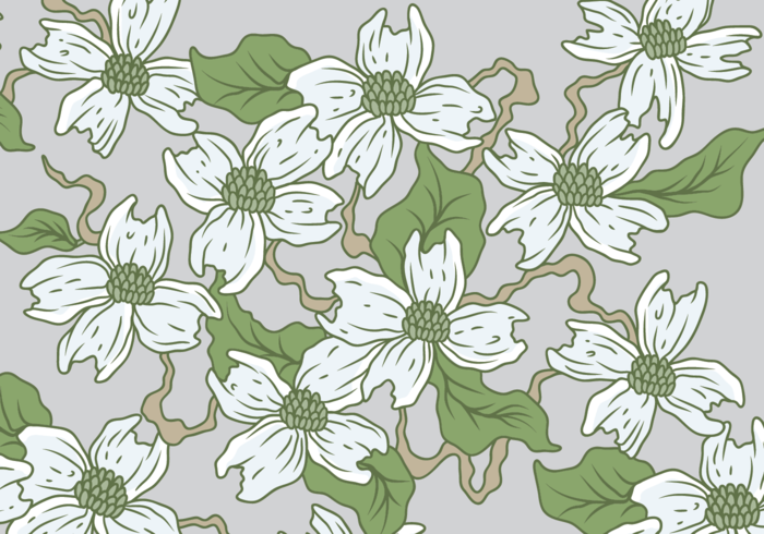 White Dogwood Vector