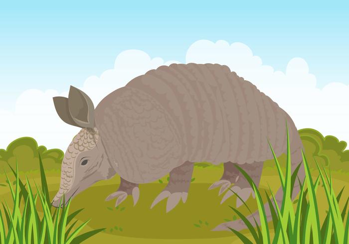 Armadilo Forest Illustration vector