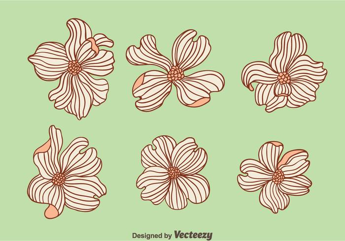 Hand Drawn Dogwood Flowers Vector