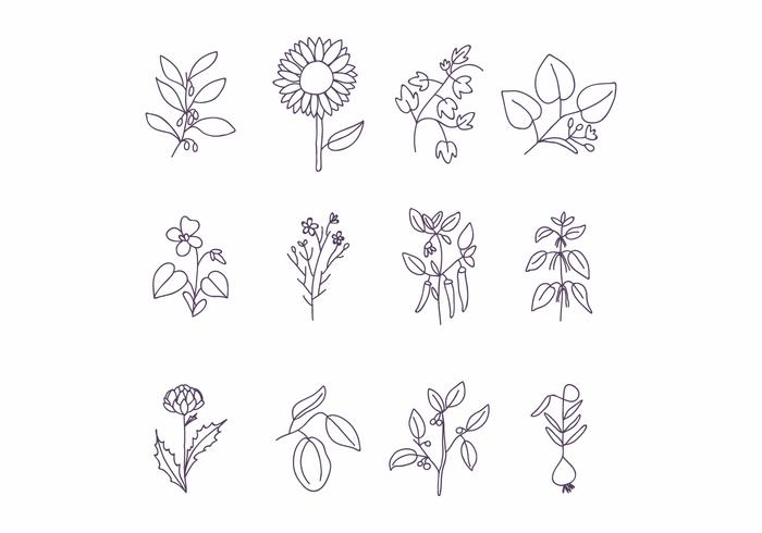 Set Of Beautiful Flowers vector