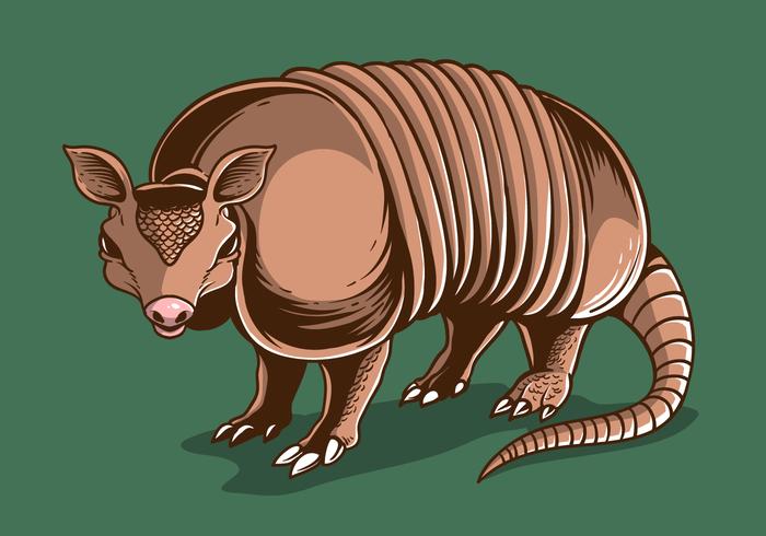 Armadillo Ilustración Vectorial vector