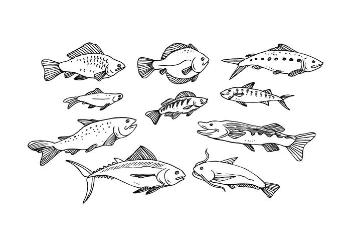 Free Fish Hand Drawn Icono de vectores