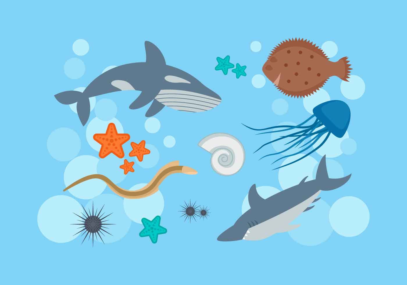 Download Free Outstanding Ocean Fish Vectors 157640 - Download Free Vectors, Clipart Graphics & Vector Art