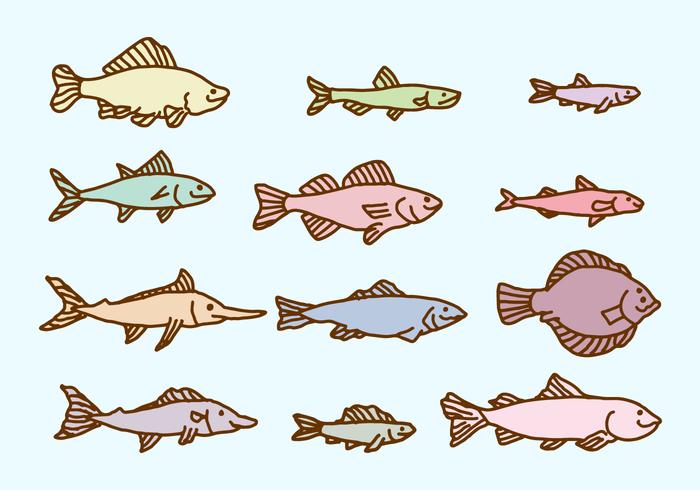 Sketch Fish Collection Vector