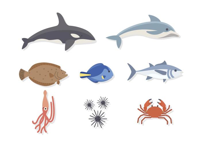 Flat Sea Animal Vectors