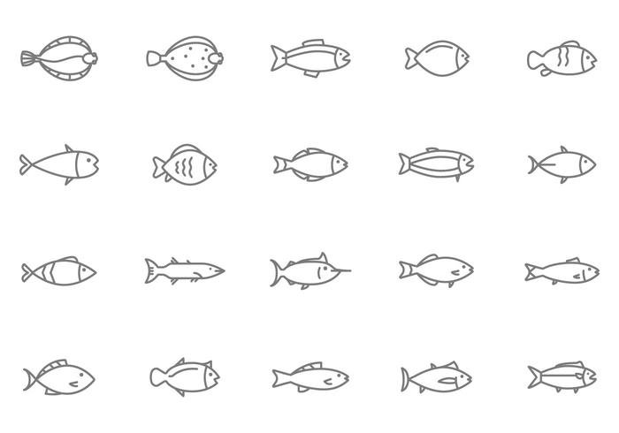 Free Fish Vectors