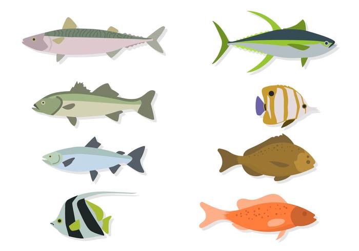 Flat Sea Animal Vectors Flat Sea Animal Vectors