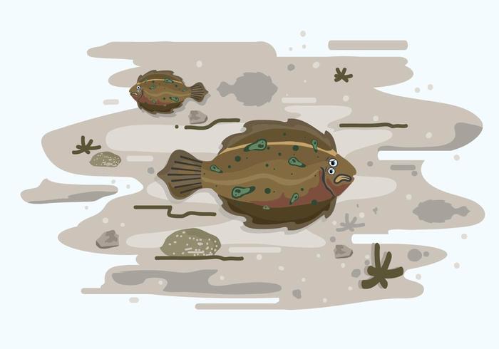 Flounder and Habitat illustration vector