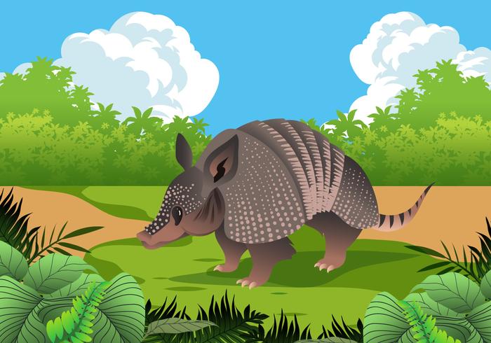 Funny Armadillo in Nature Vector 