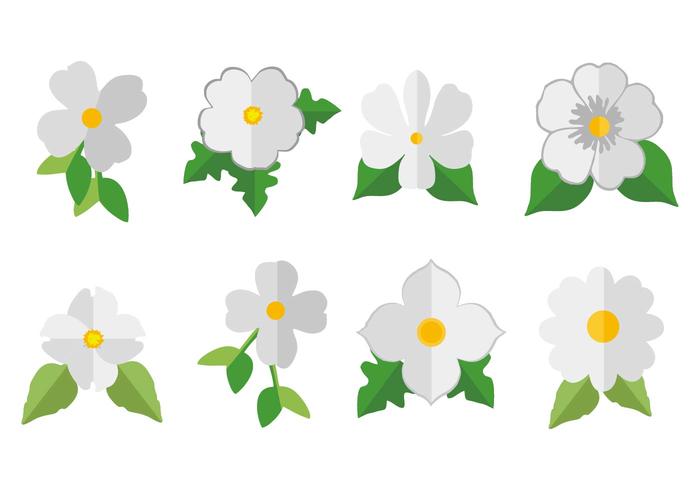 Free White Dogwood Icon Vector