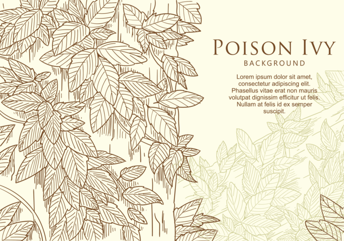 Free Hand Drawn Poison Ivy Leaf vector