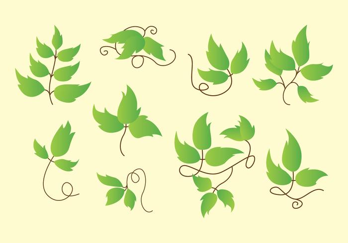 Poison Ivy Icons vector