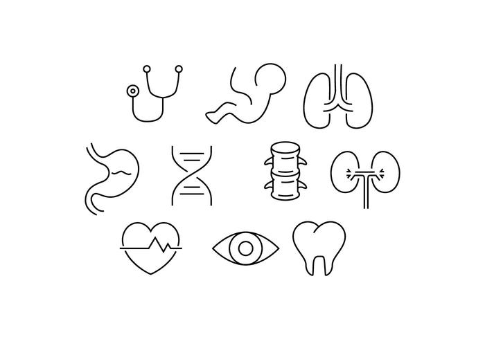 Free Medical Profession Line Icon Vector