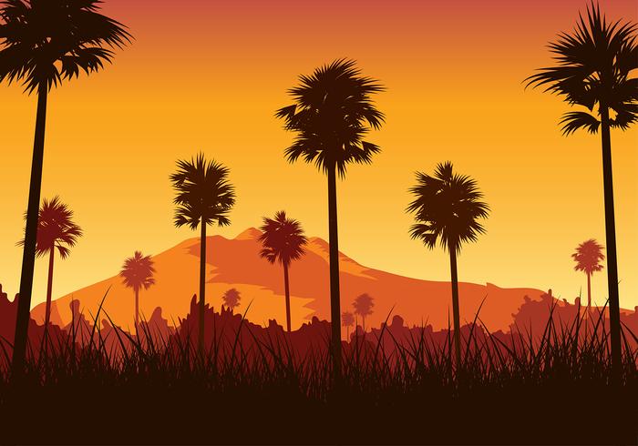 Kerala Ricefield Sunset Vector libre