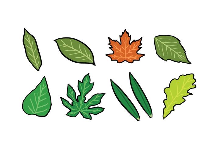 Paquete de Iconos de hojas vector