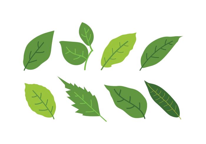 Leaves Icon Set vector