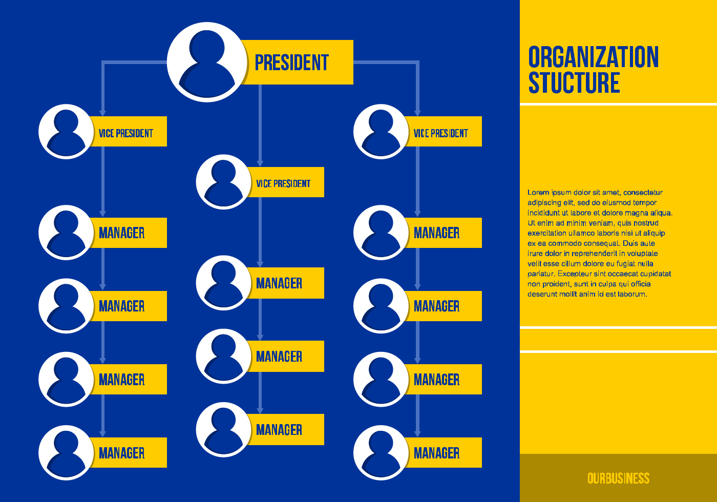 learn dewey decimal classification