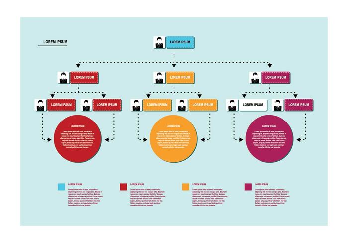 Vector de Organigrama Gratis