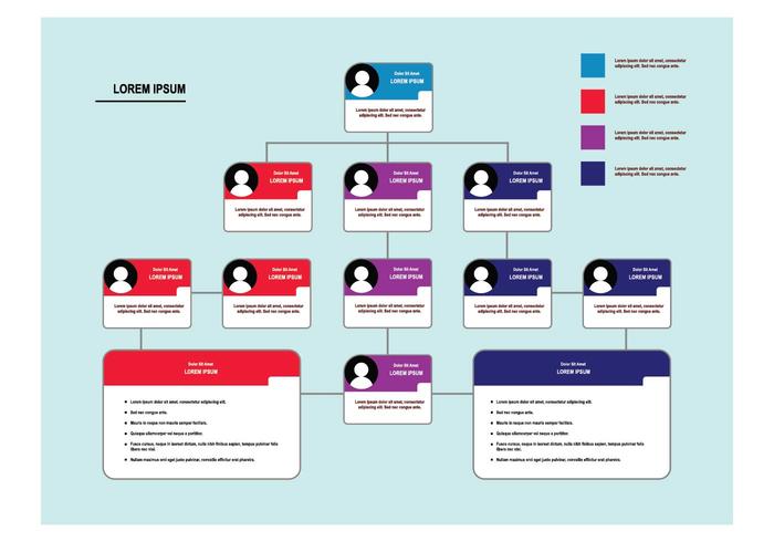 Vector de Organigrama Gratis