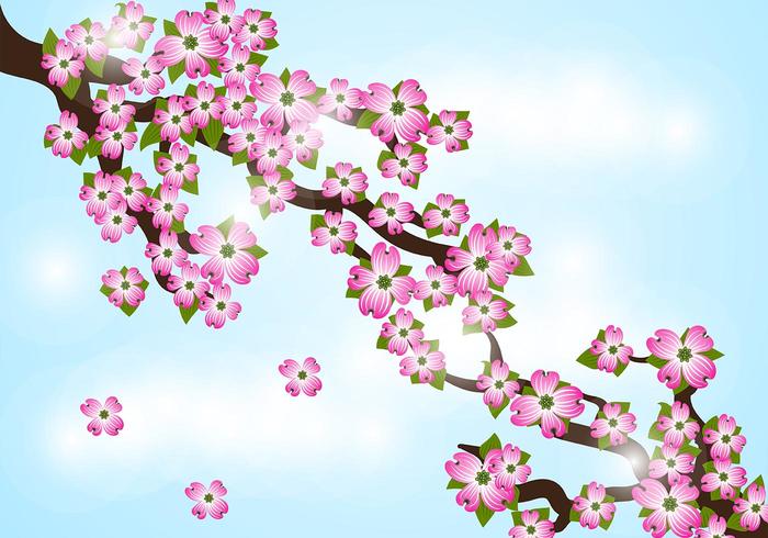 Dogwood Flower Background Vector