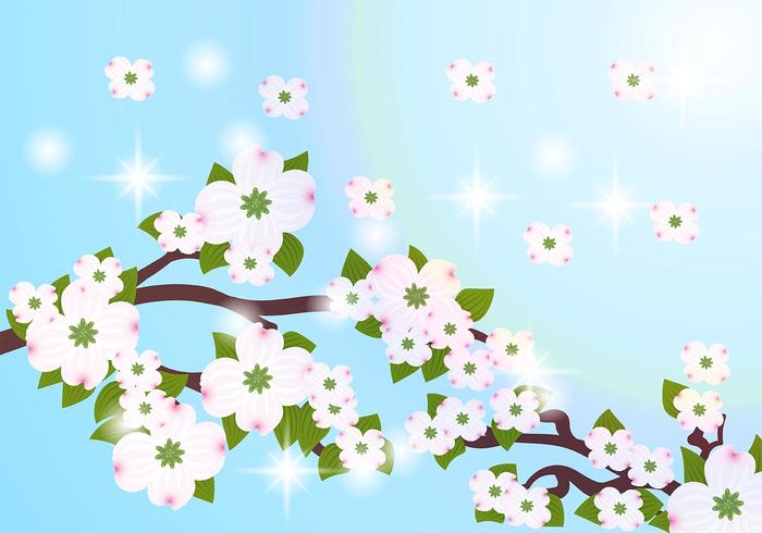 Dogwood Flower Background Vector